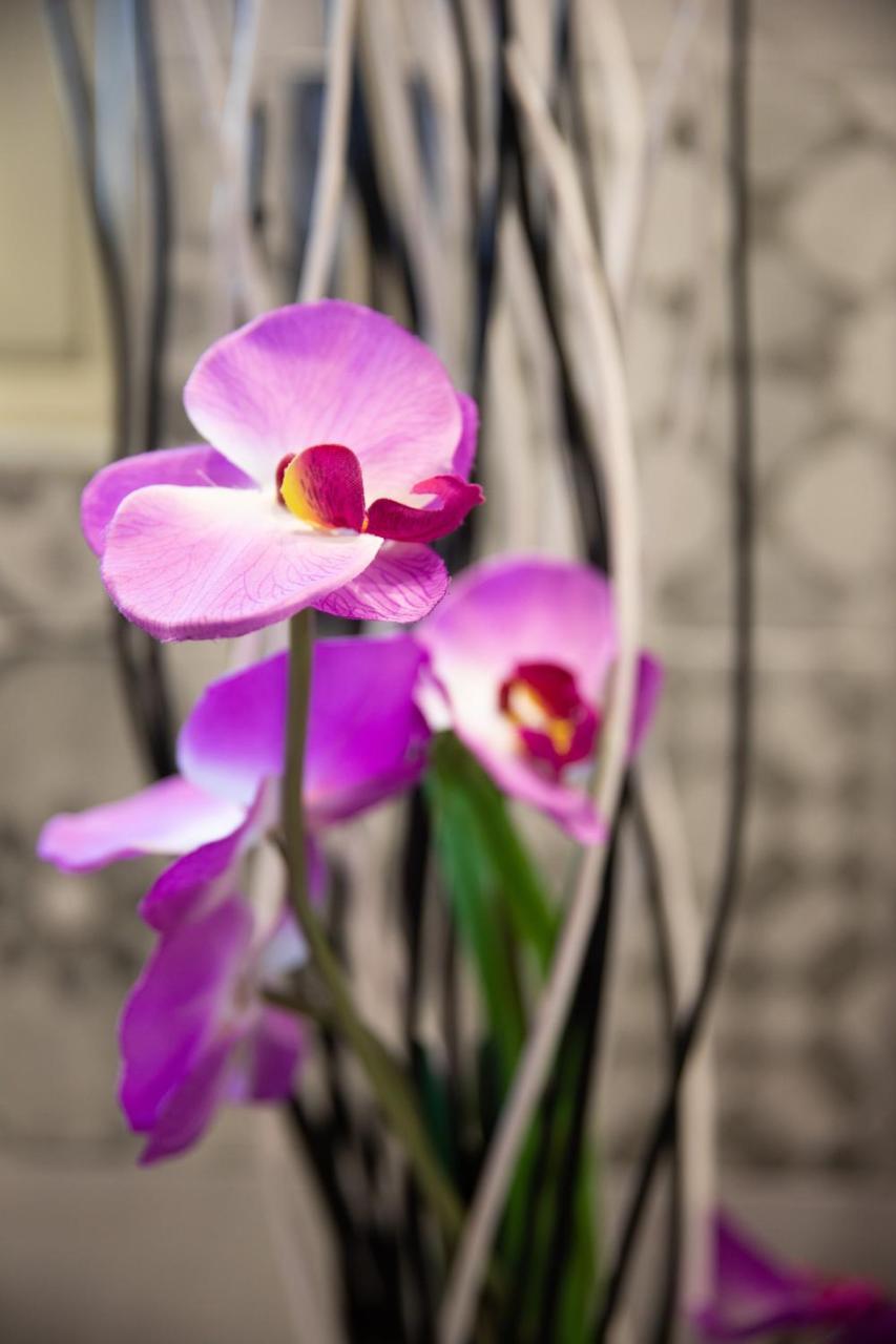 Palermo Suites & Rooms ภายนอก รูปภาพ